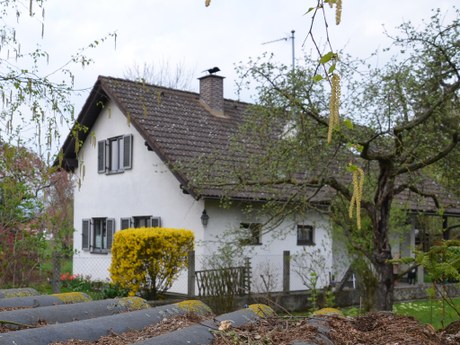 Haus KFT